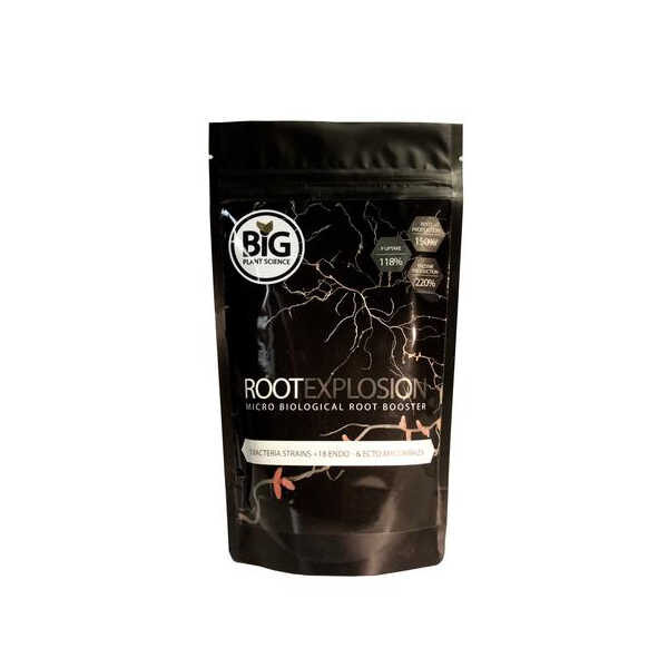 Root_Explosion